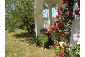 Pension de famille Rab 5